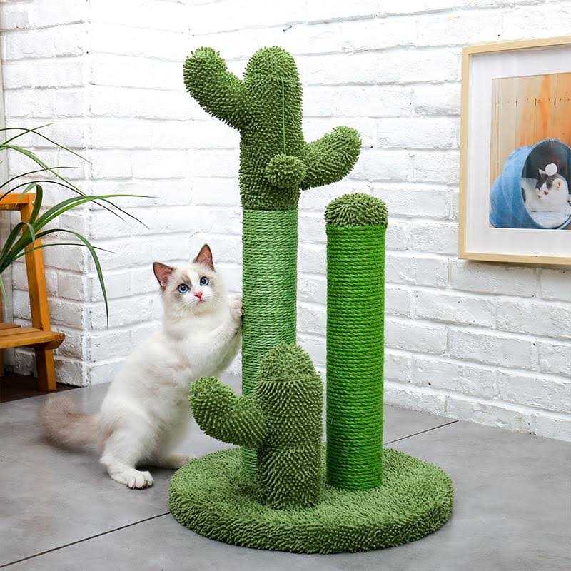 Pawz Road Cactus Cat Scratching Posts Sisal Cat Scratcher - Healthber
