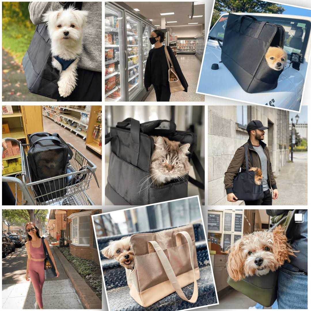 Pet Tote Bag for Small Dogs and Cats by Oskar&Friends - Healthber