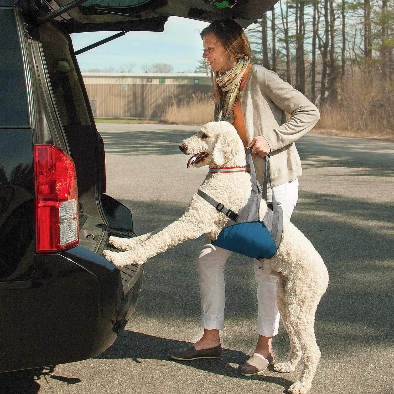 Kurgo Up & About Dog Lifter - Healthber