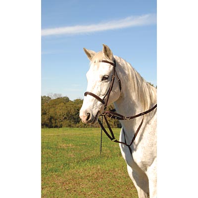 German Olympic Running Martingale for Horses with Reins - Healthber