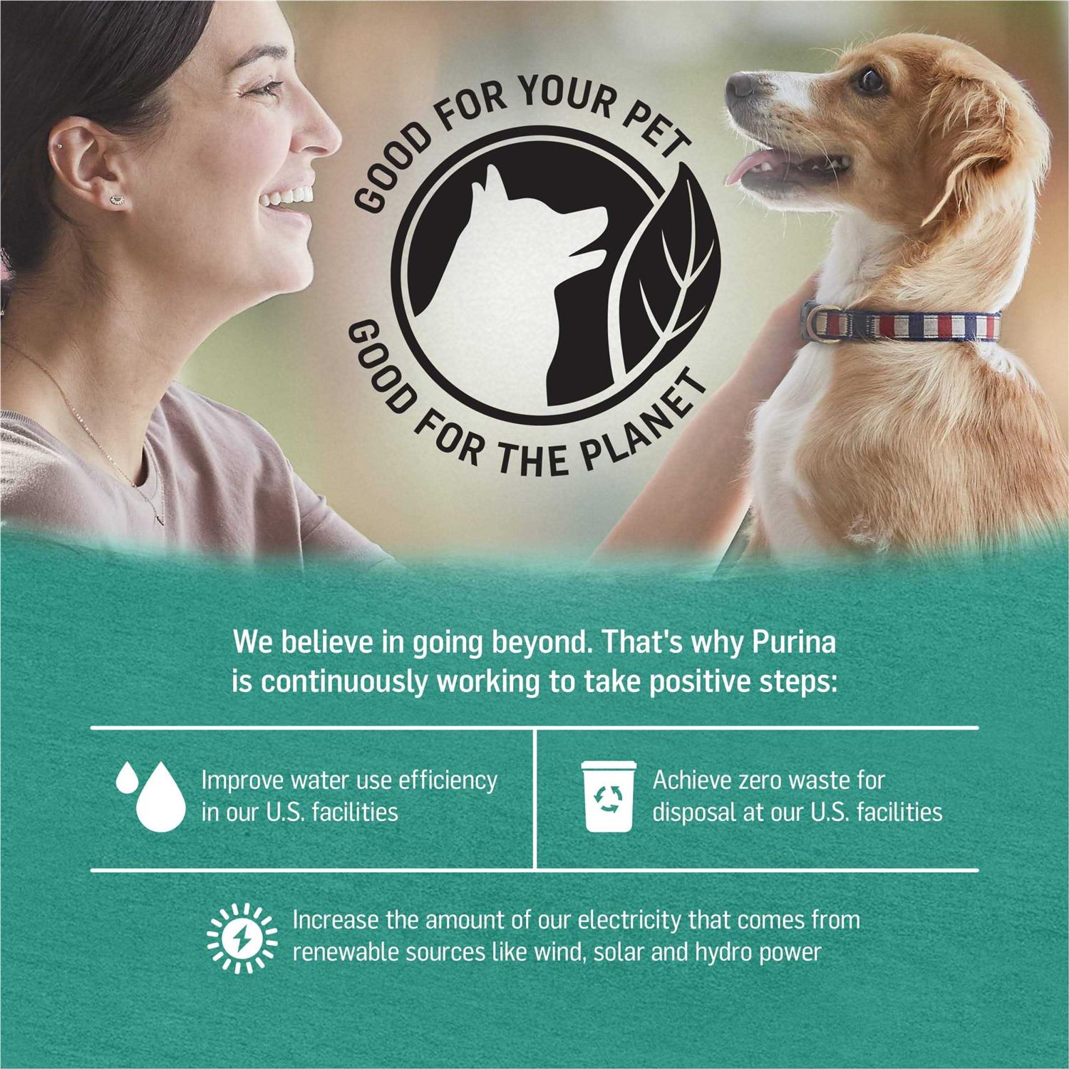 Purina Beyond Alaskan Cod Salmon & Sweet Potato Wet Dog Food Can - Healthber
