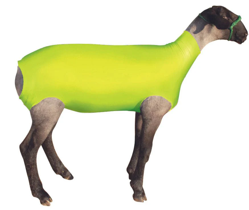 ShowPro Spandex Lamb Tube - Healthber