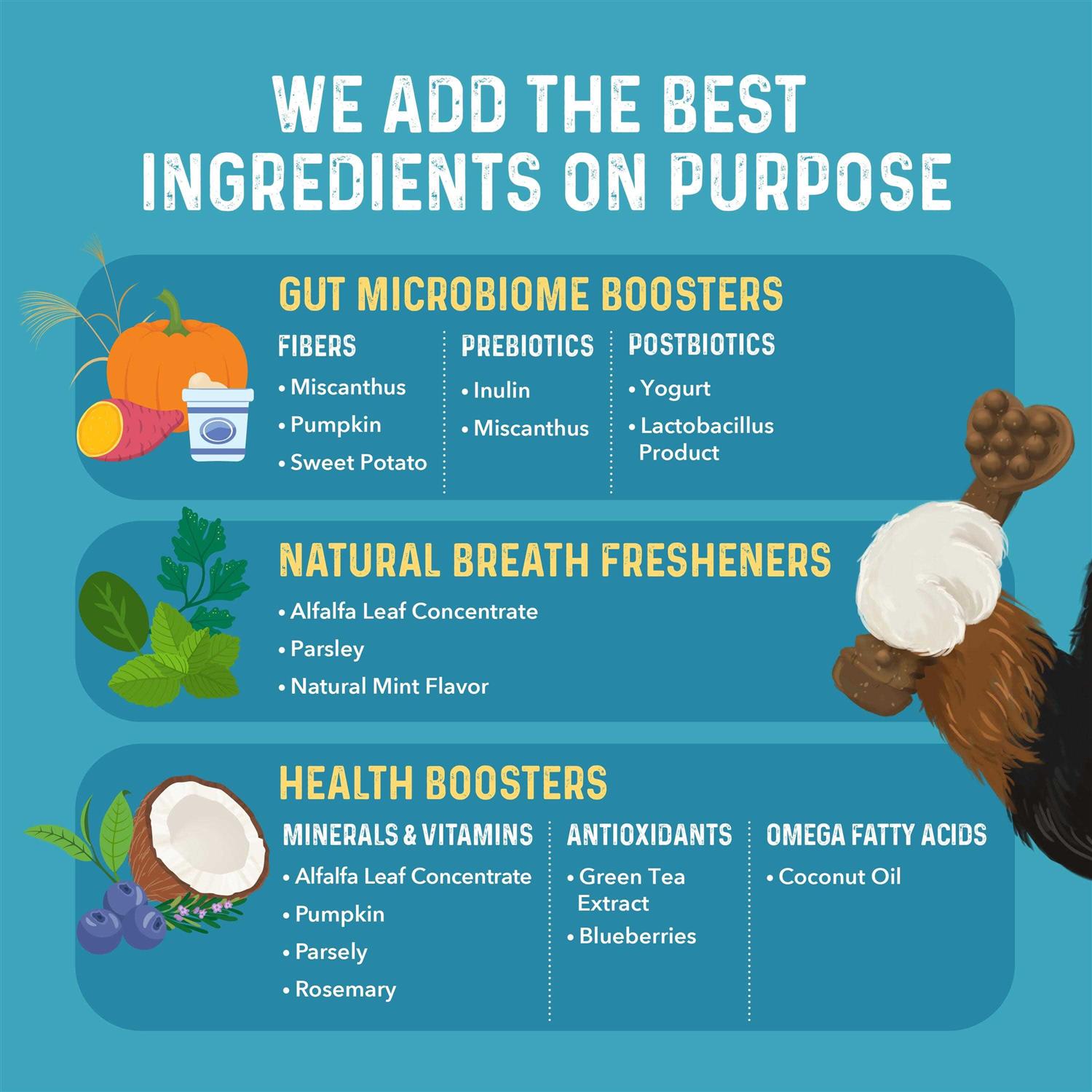 Bernie’s Charming Chompers Daily Dental Chews Dogs - Healthber