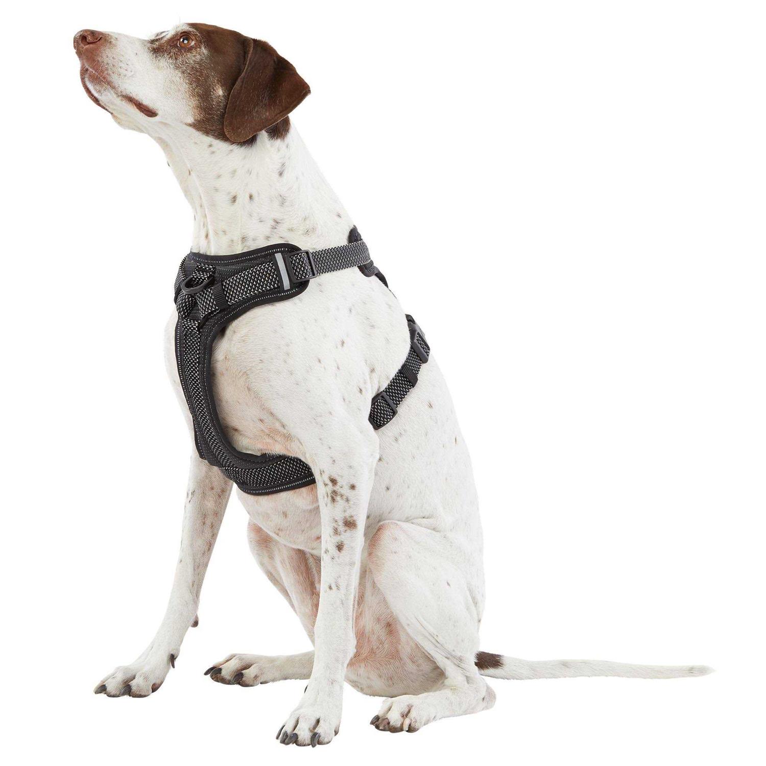 Top Paw Ultra-Reflective Dog Harness - Healthber