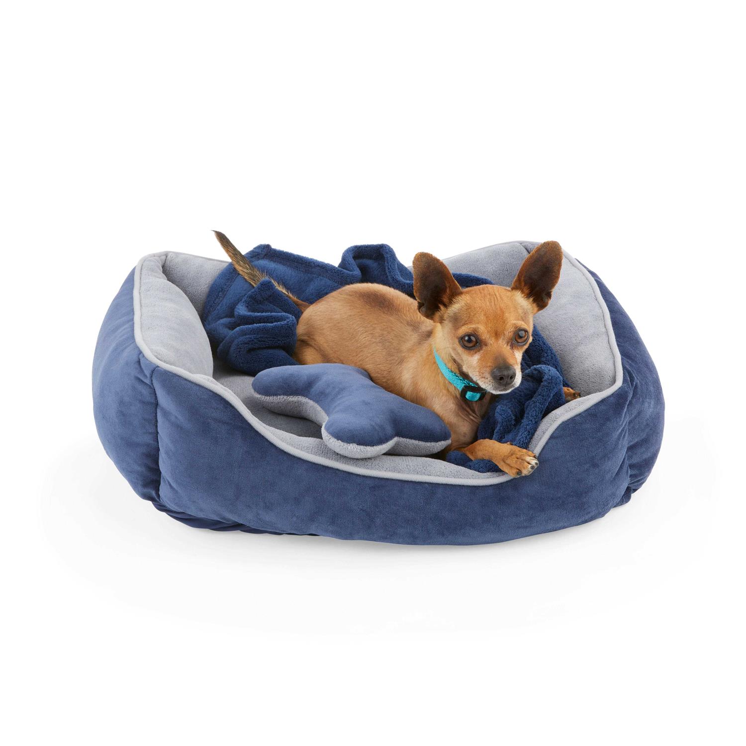 EveryYay Essentials Snooze Fest Dog Bed Bundle - Healthber