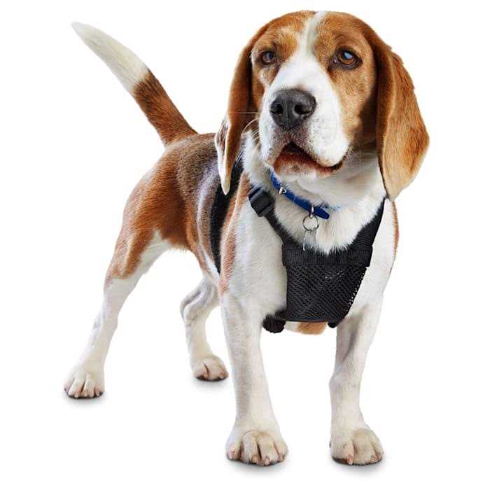 EveryYay Embrace The Pace Black No Pull Dog Harness - Healthber