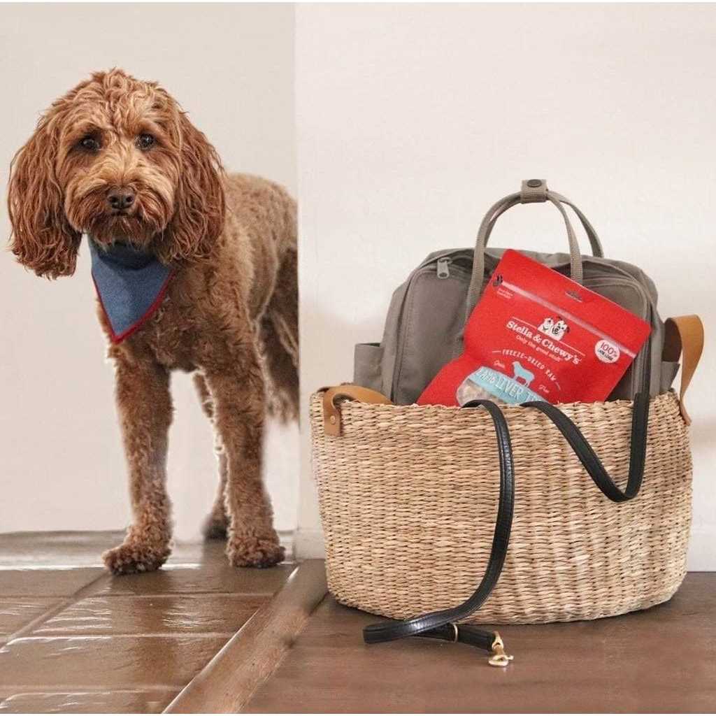 Stella & Chewy’s Beef Freeze Dried Dog Treats - Healthber