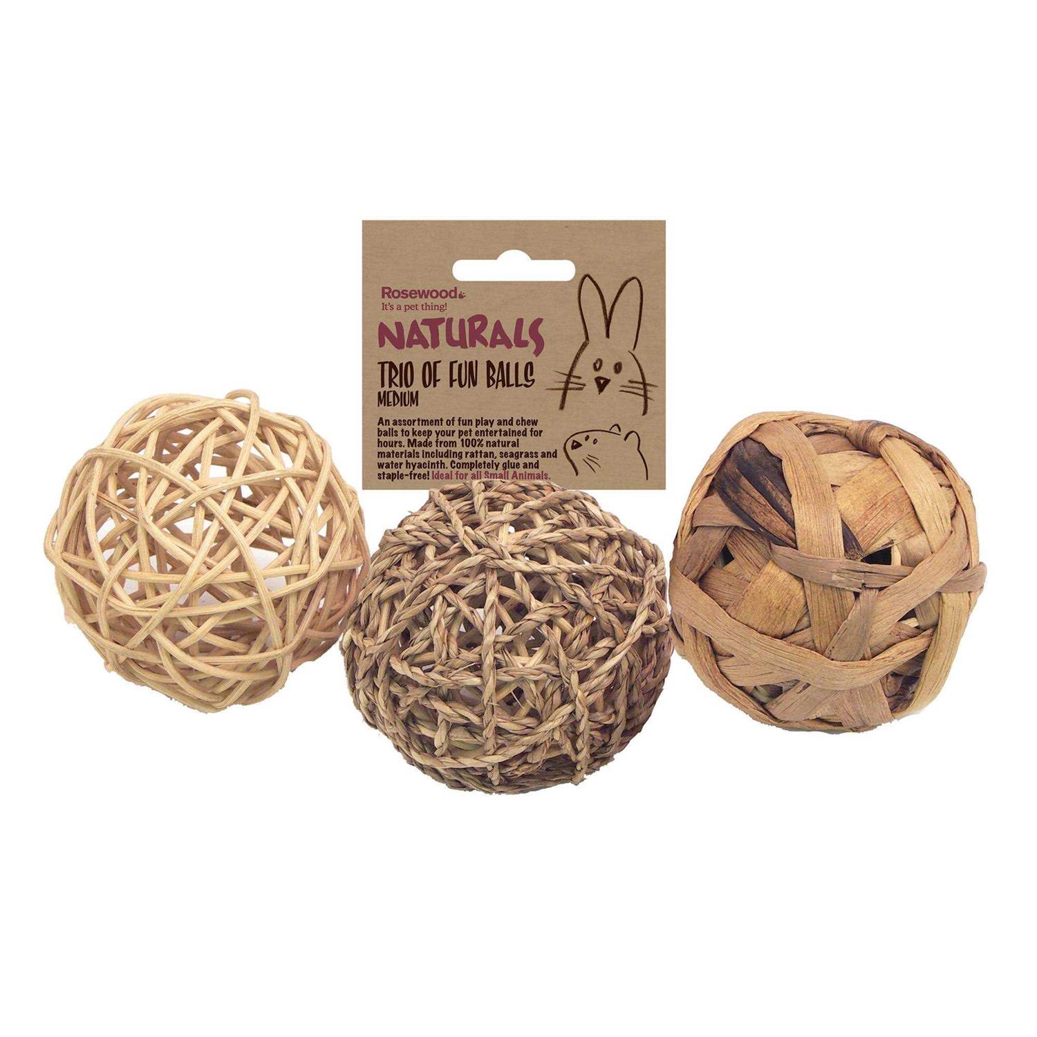 Rosewood Small Trio of Fun Balls Animal Toy - Healthber