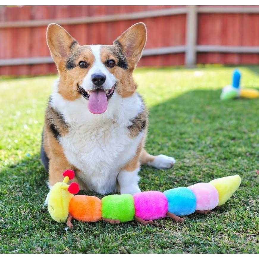 ZippyPaws Caterpillar Dog Toy - Healthber