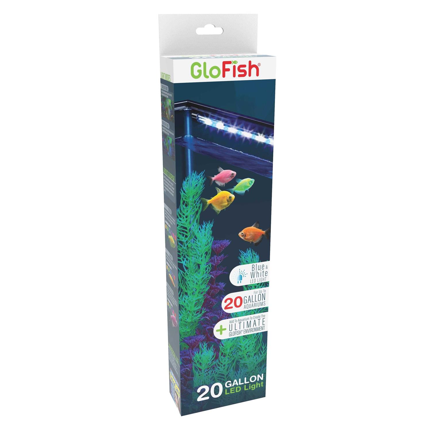 GloFish Blue LED Light - Healthber