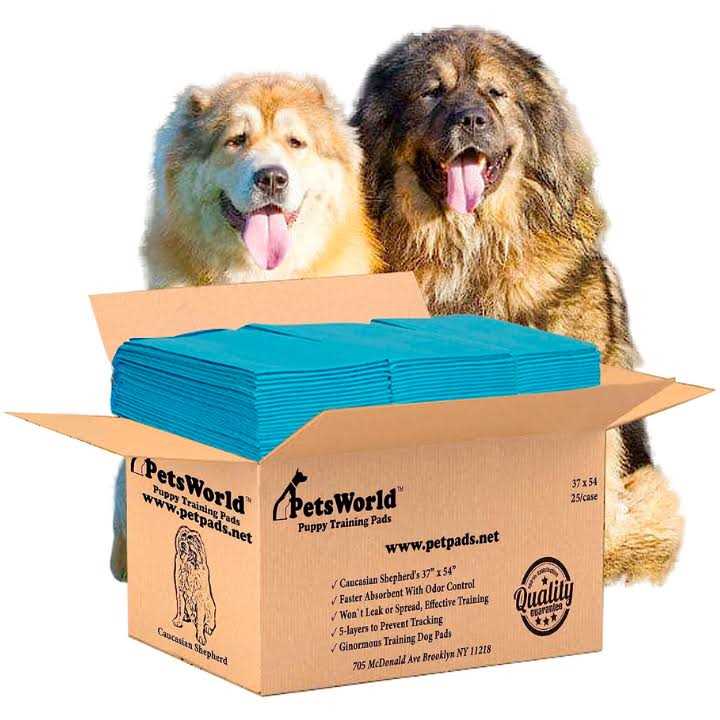 petsworld Pet Potty Pads Xxxl Enormous Tear Resistant - Healthber