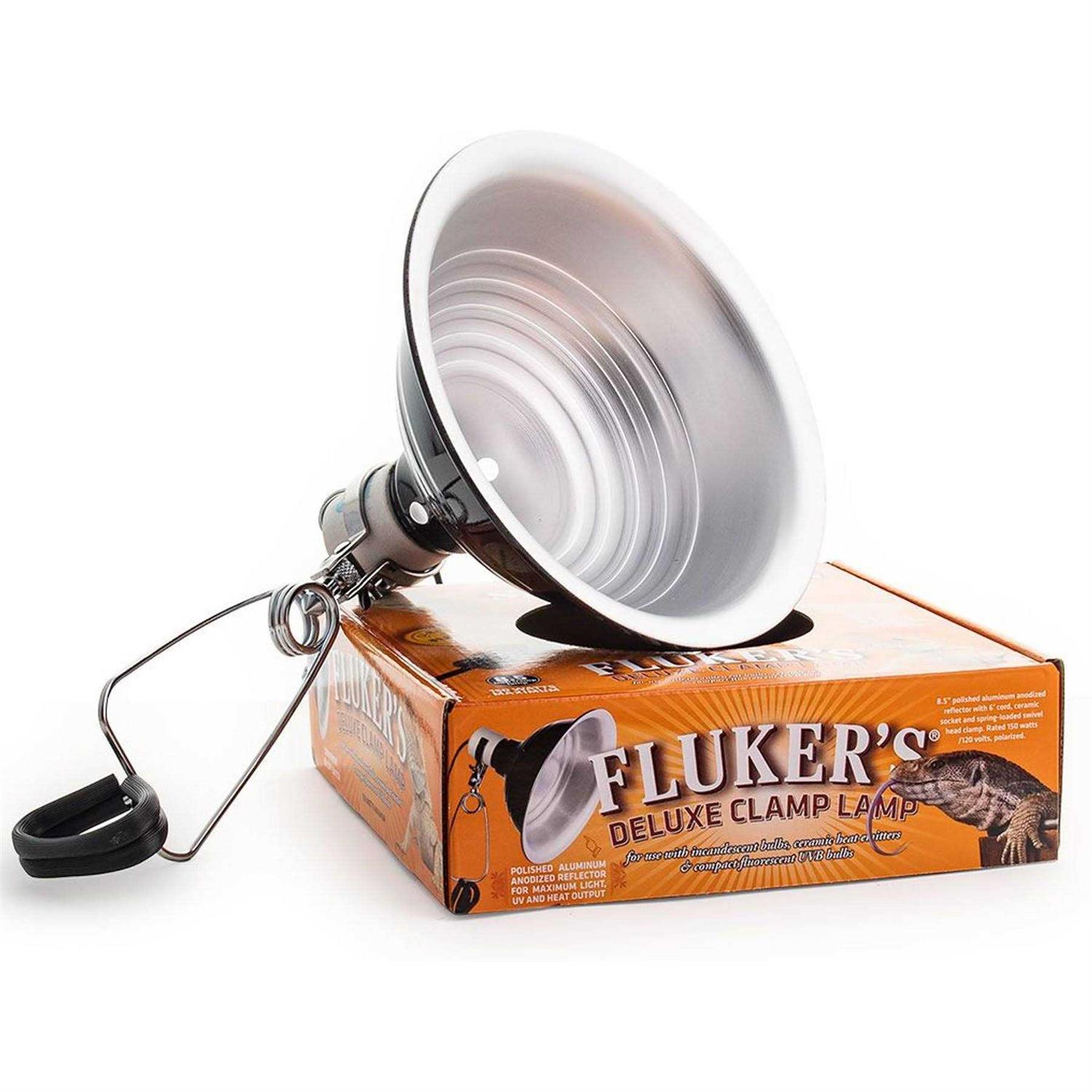 Flukers Clamp Lamp with Switch - Healthber