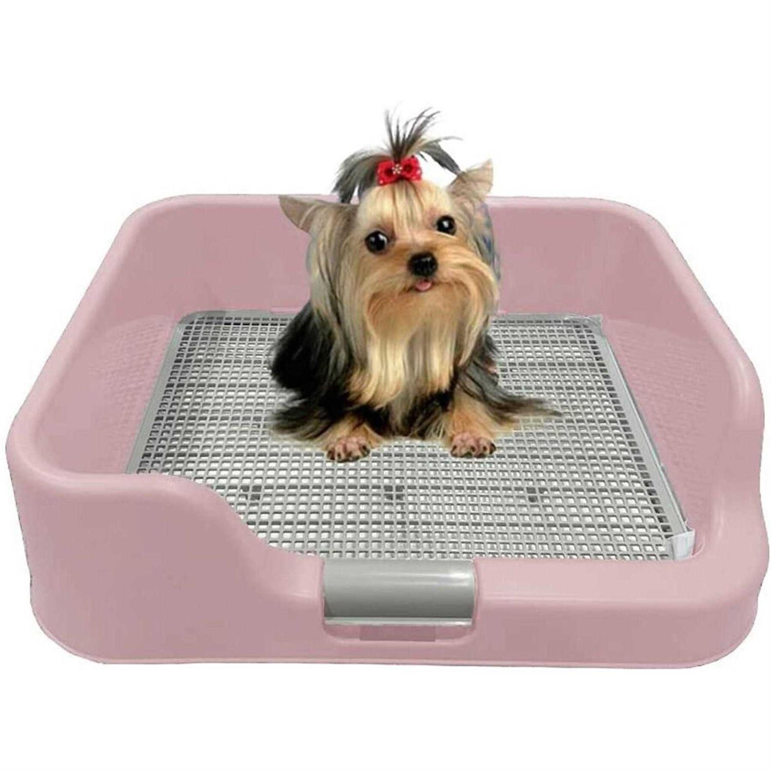 PS KOREA Indoor Dog Potty Tray with Protection Wall Every Side for No Leak, Spill, Accident - Healthber