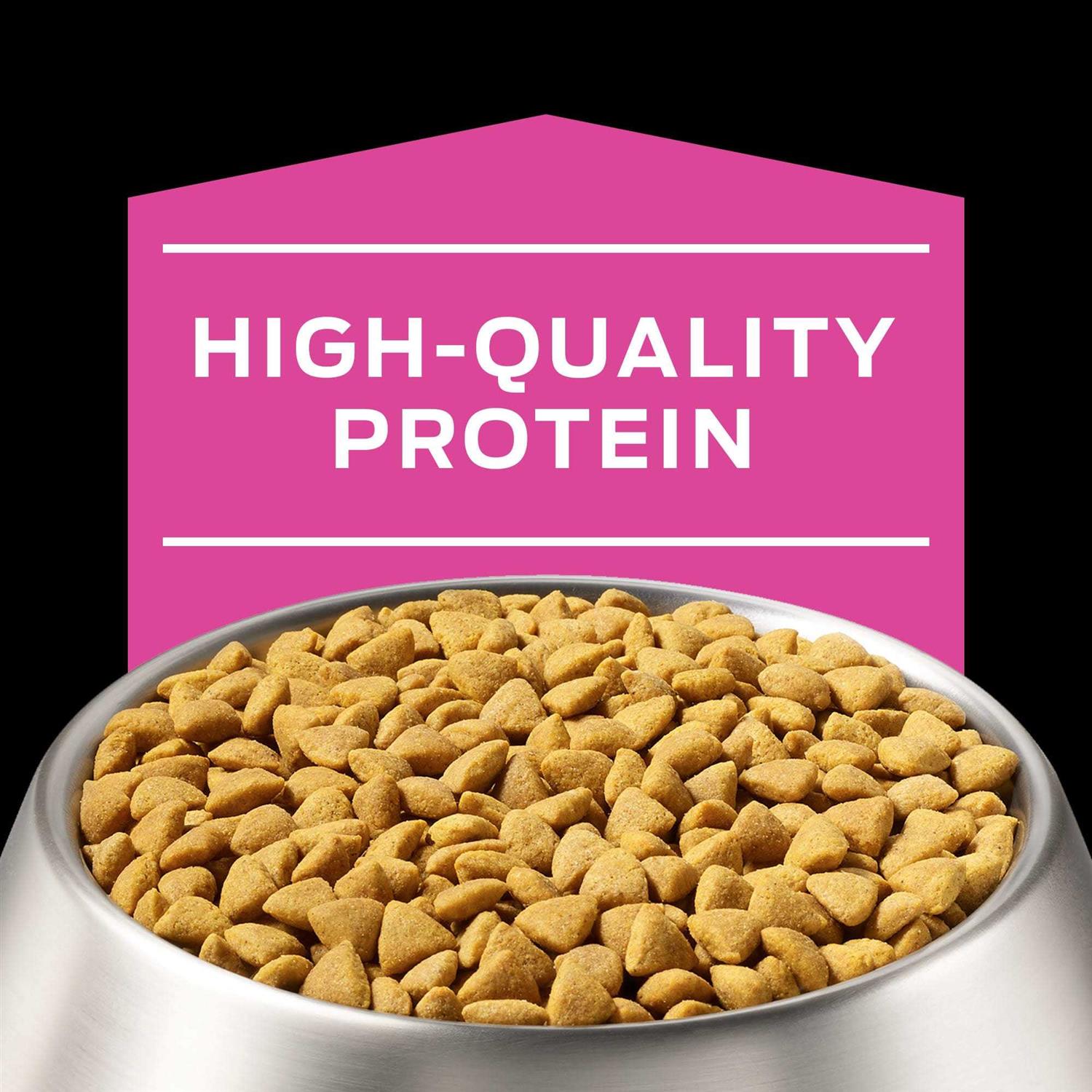 Purina Pro Plan Veterinary Diets UR Ox/St Urinary Dry Dog Food - Healthber