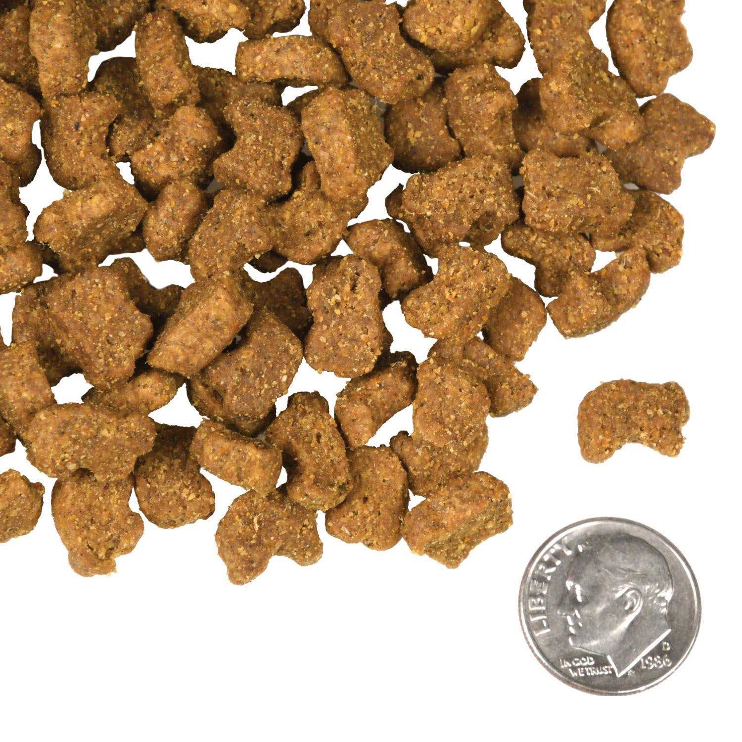 Fromm Four Star Lamb & Lentil Dog Food - Healthber