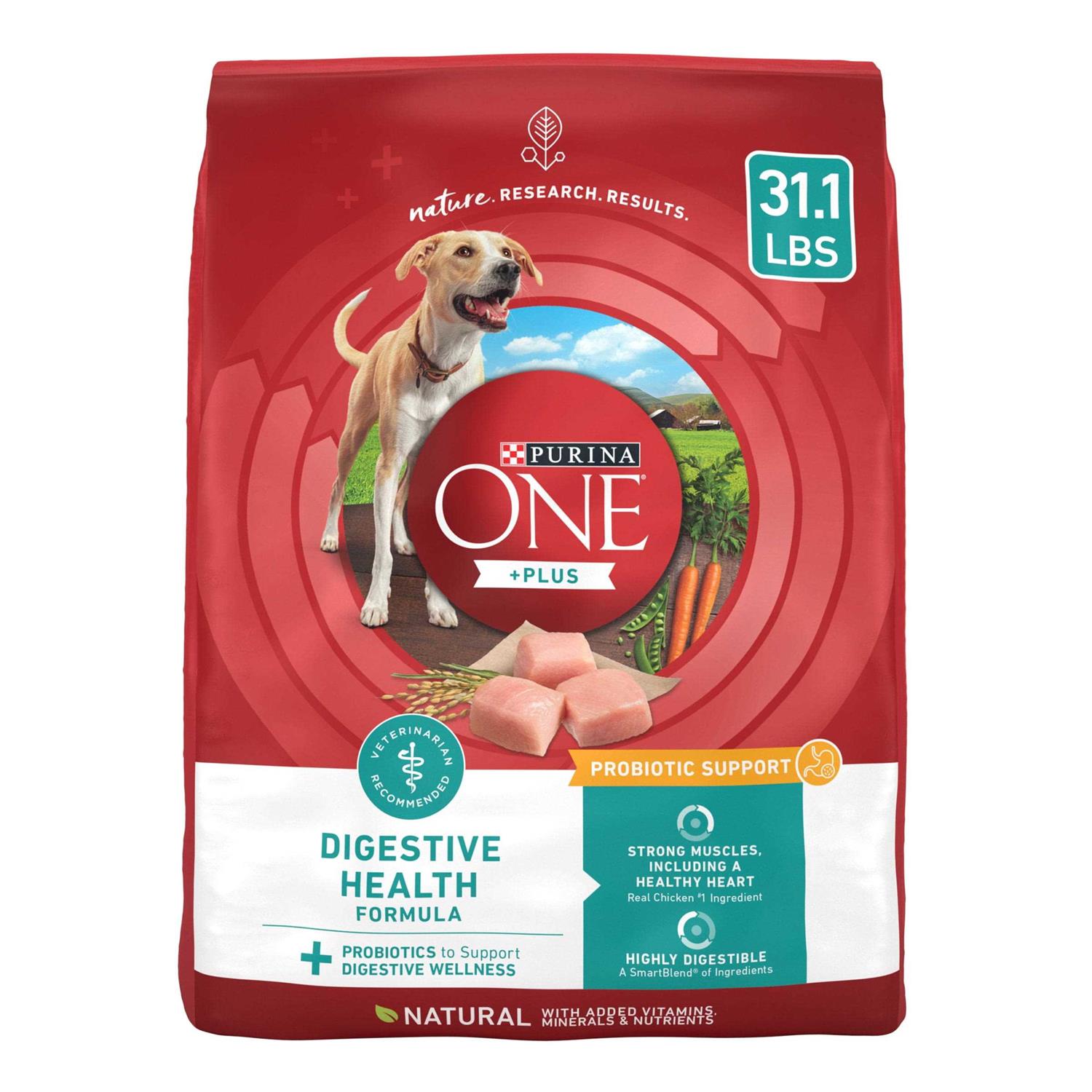 Purina ONE Digestive Health Dry Dog Food - Healthber