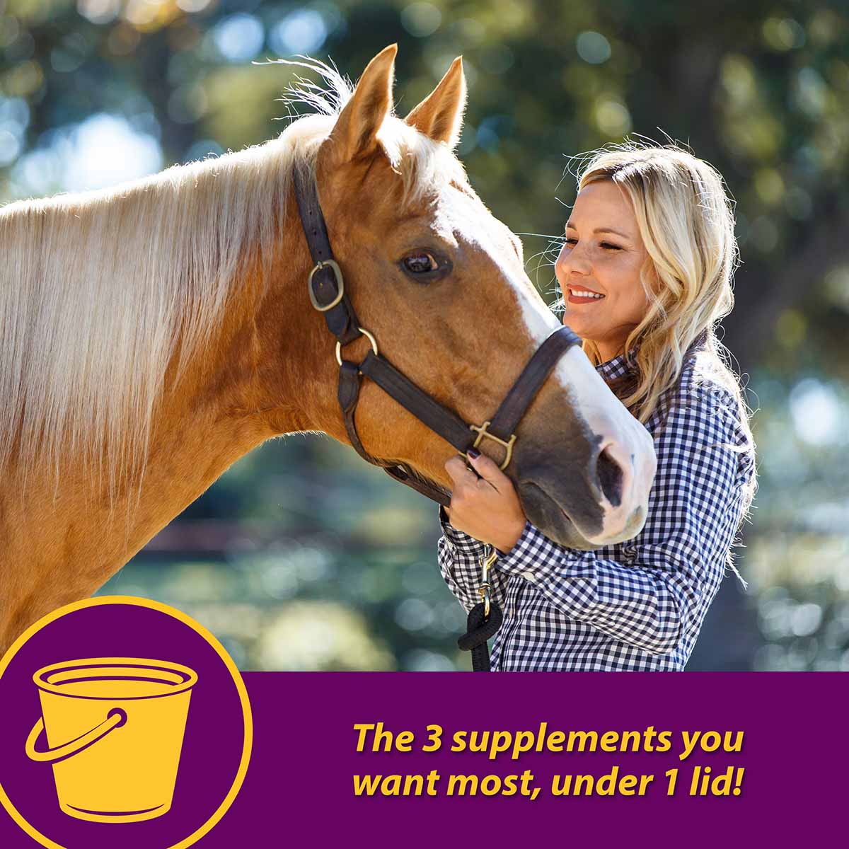 Joint Combo Hoof & Coat Supplement for Horses - Healthber