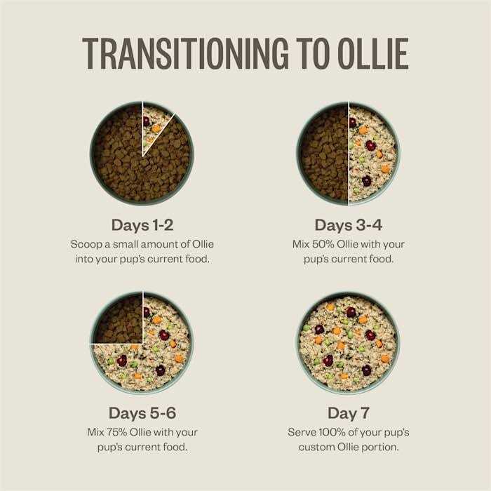 Ollie Fresh Turkey Dish with Blueberries Frozen Dog Food - Healthber