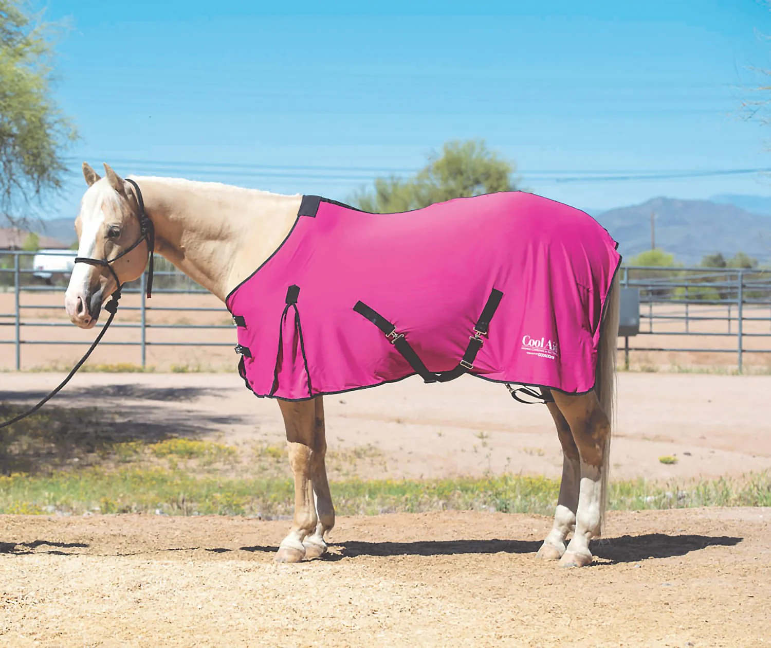 Coolcore Equine Cooling Blanket - Healthber