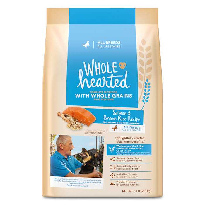 WholeHearted Whole Grains Salmon Recipe Dry Dog Food - Healthber