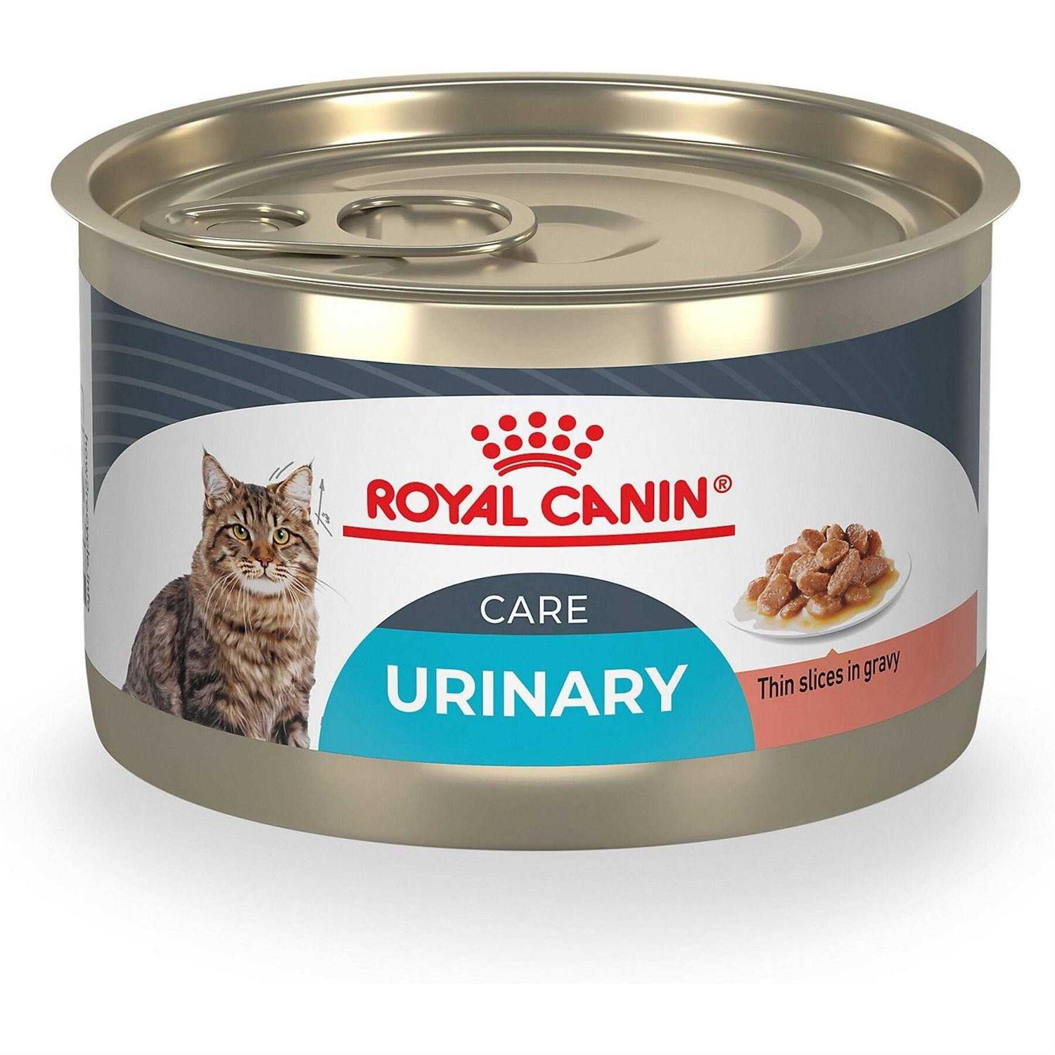 Royal Canin Feline Care Nutrition Urinary Care Thin Slices in Gravy Wet Cat Food - Healthber