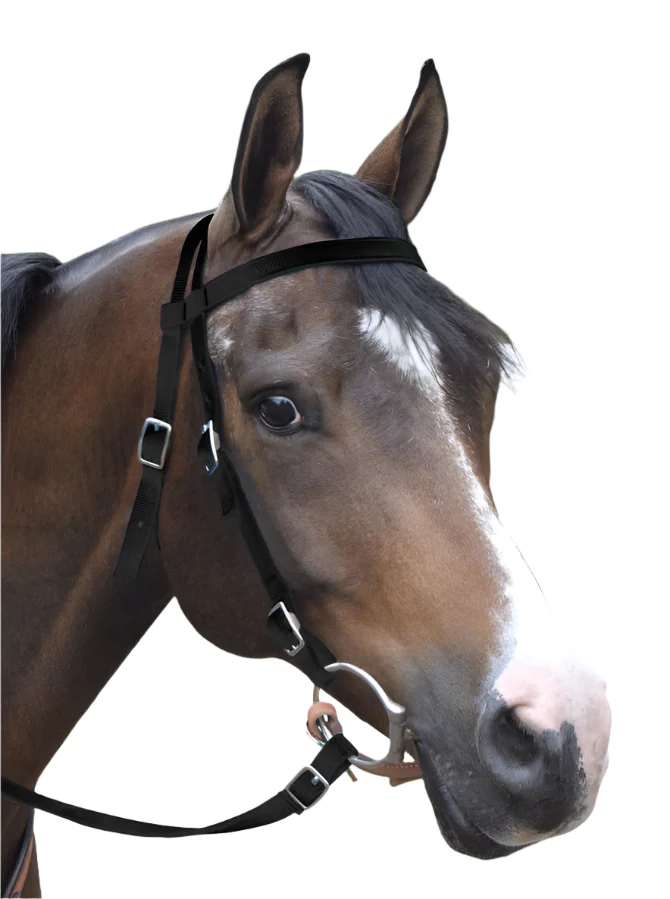Western Nylon Horse Bridle with 6' Split Reins Set - Healthber