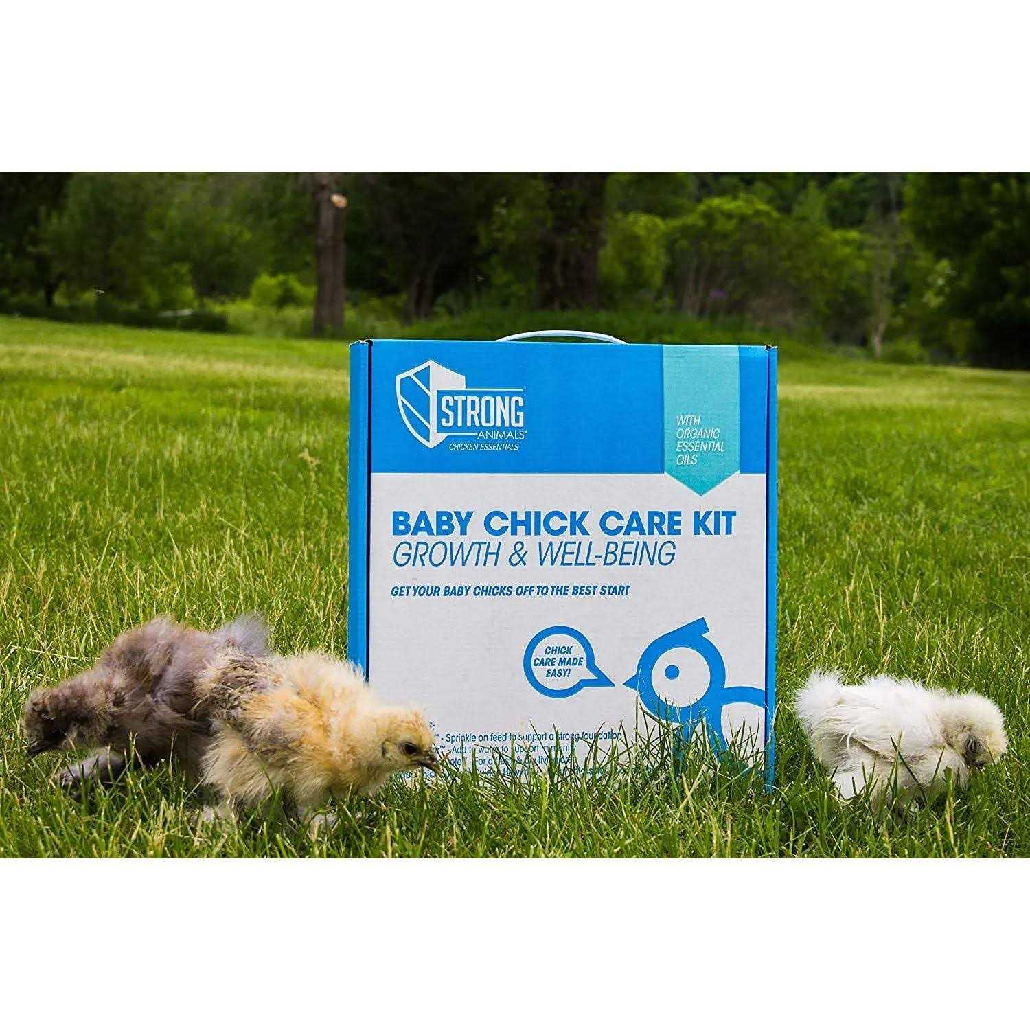 Strong Animals Baby Chick Care Kit - Healthber