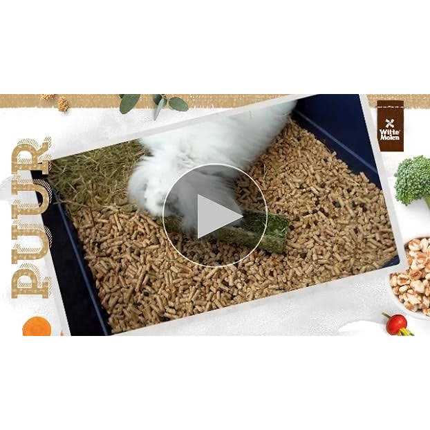 Witte Molen Pure Hamster Food Seed Mixture Mealworms Sunflower Seeds - Healthber