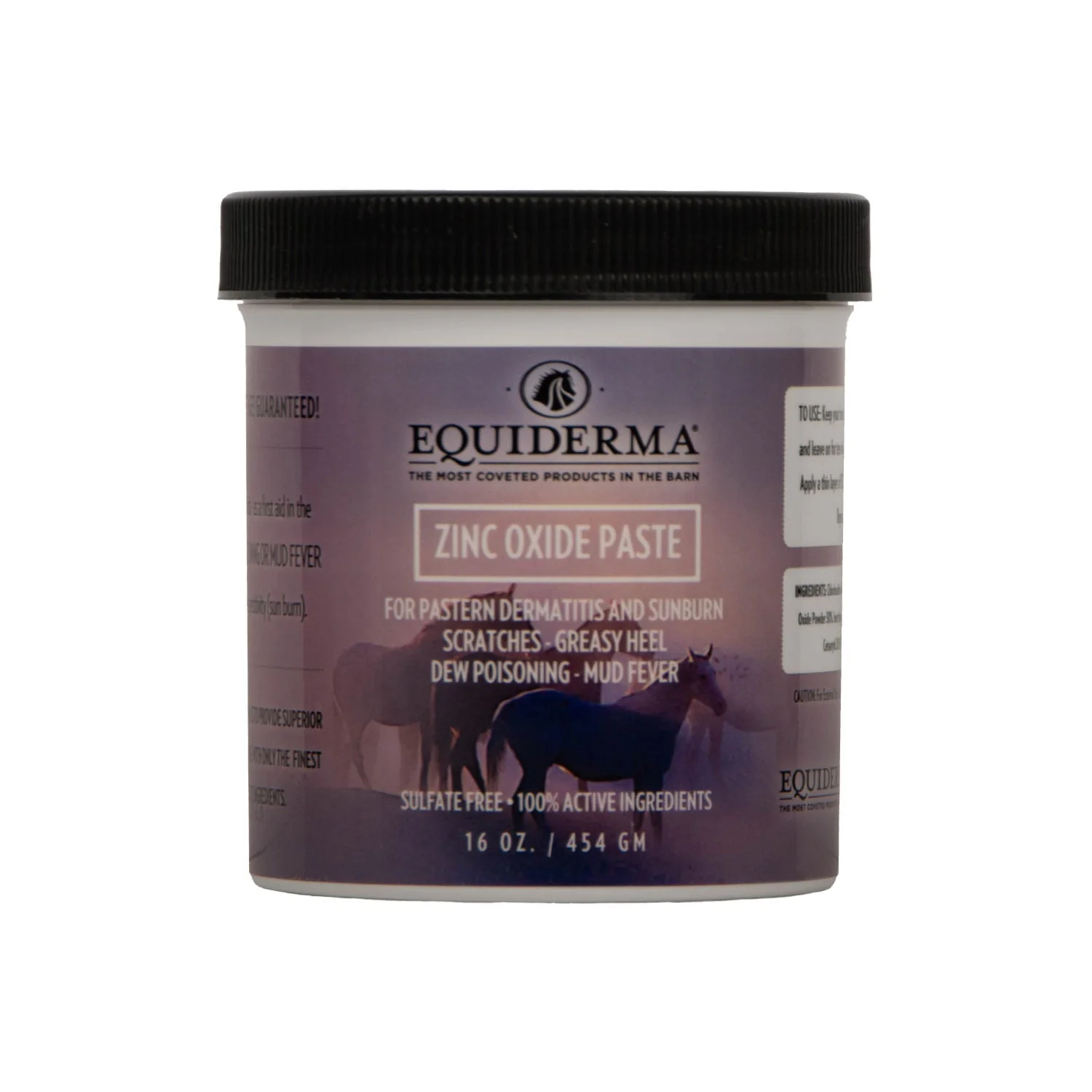 Equiderma Zinc Oxide Paste, 16 oz - Healthber