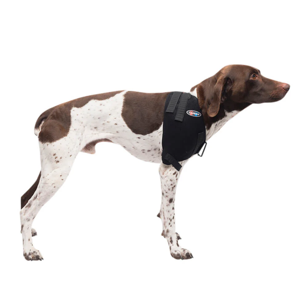 Caldera Pet Therapy Shoulder Wrap with Therapy Gel - Healthber