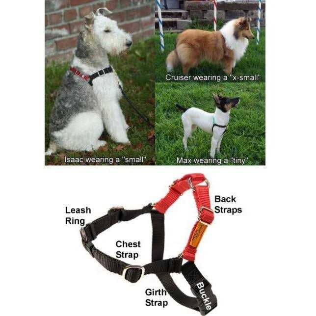 Wonder Walker Body Halter Dog Harness - Healthber
