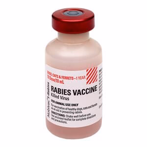 Nobivac 1-Rabies Vaccine, 10 mL Vial, No Tags - Healthber