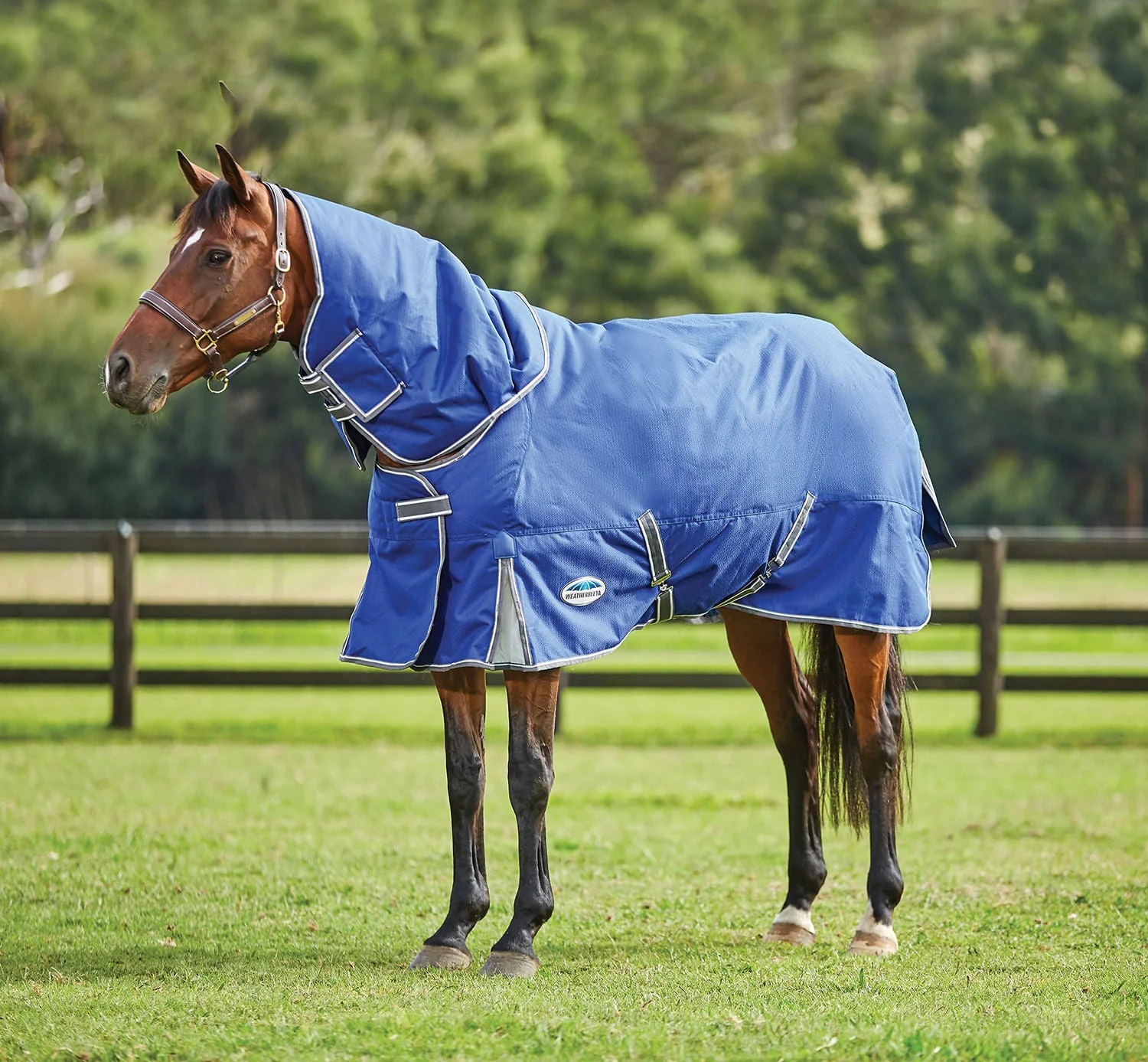 WeatherBeeta ComFITec Premier Free II Detach-a-Neck Medium Horse Blanket - Healthber