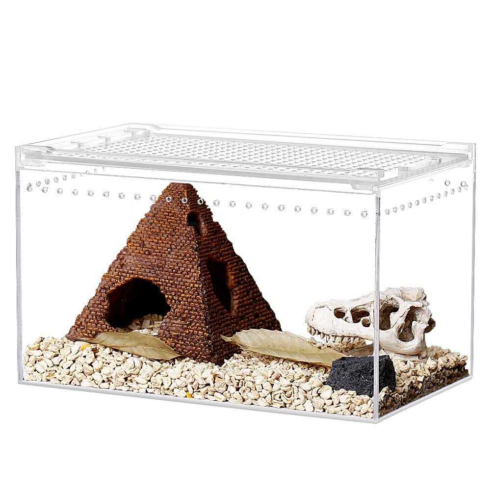NANEEZOO Magnetic Acrylic Enclosure 10x6x6 Inch Tall Long Case Reptile Habitat Terrarium cage for Terrestrial Arboreal Tarantula Scorpion Sling - Healthber