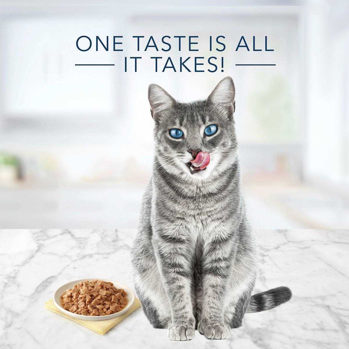 Blue Buffalo Tasteful Tuna Chicken Fish & Shrimp Flaked Variety Pack Wet Cat Food - Healthber