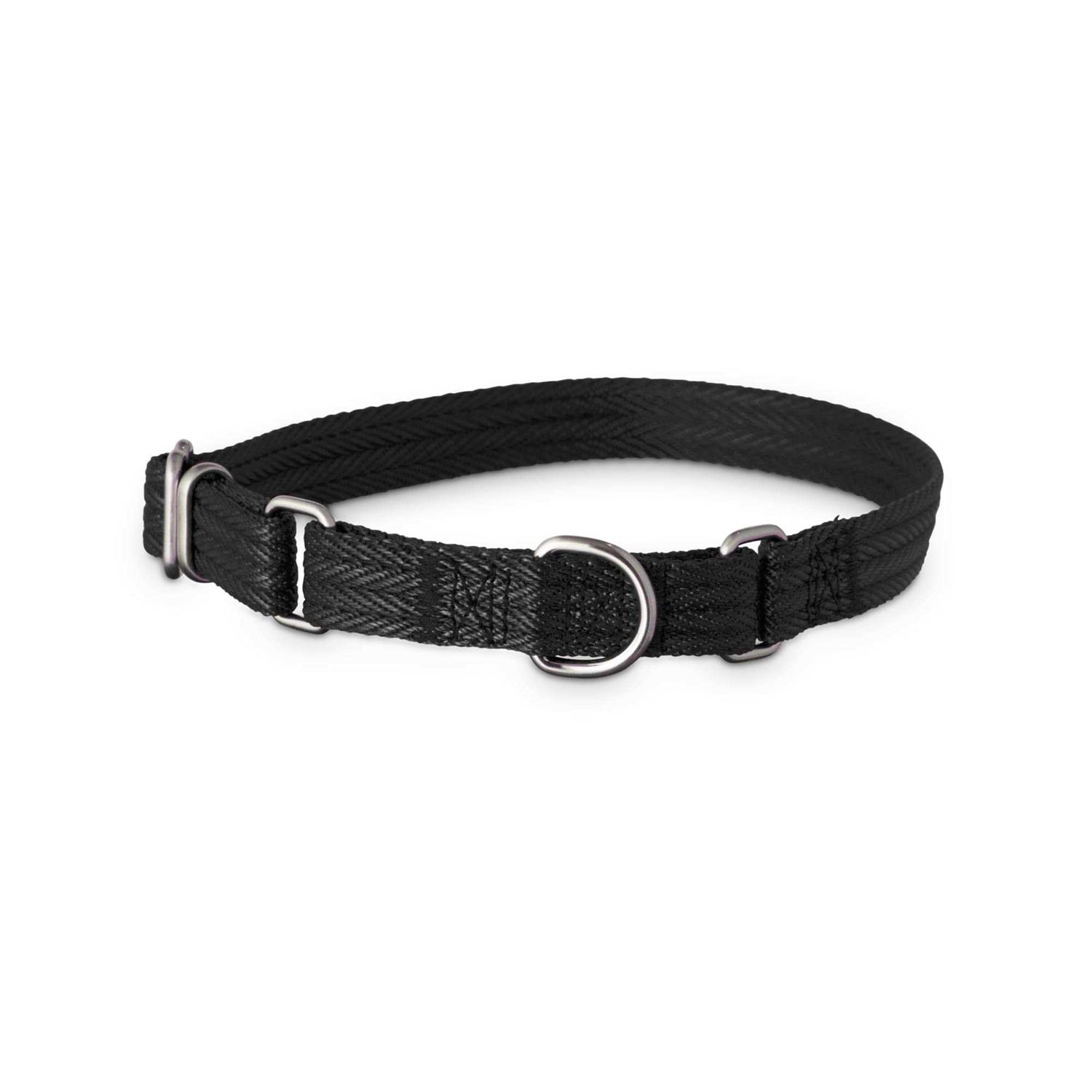 EveryYay Martingale Dog Collar - Healthber