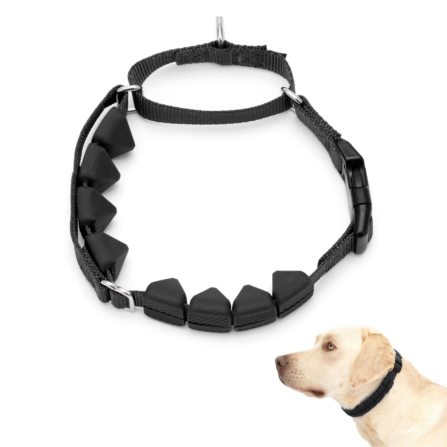 PetSafe Soft Point Training Collar - Healthber