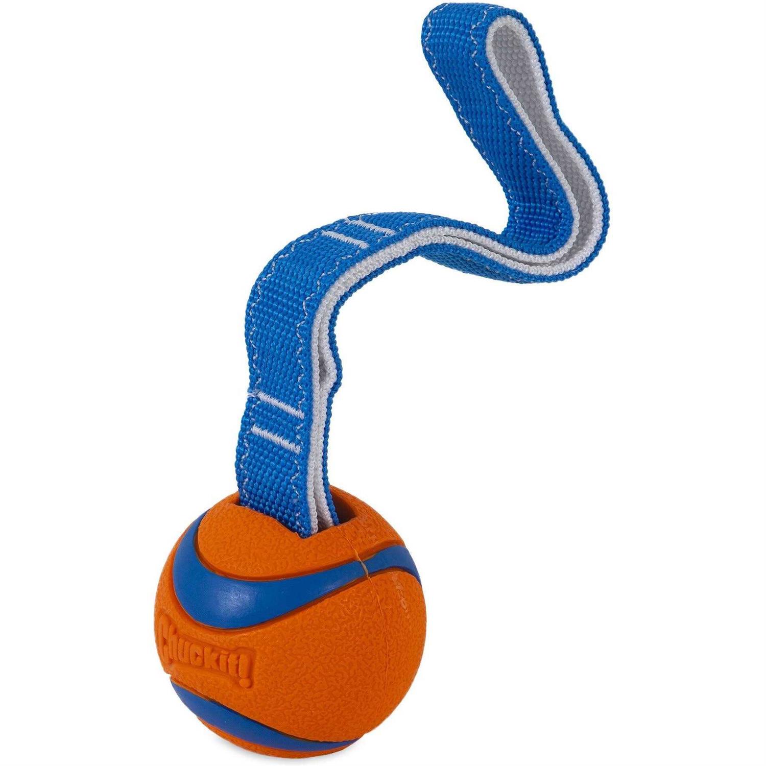 Chuckit! Ultra Duo Dog Tug Toy - Healthber