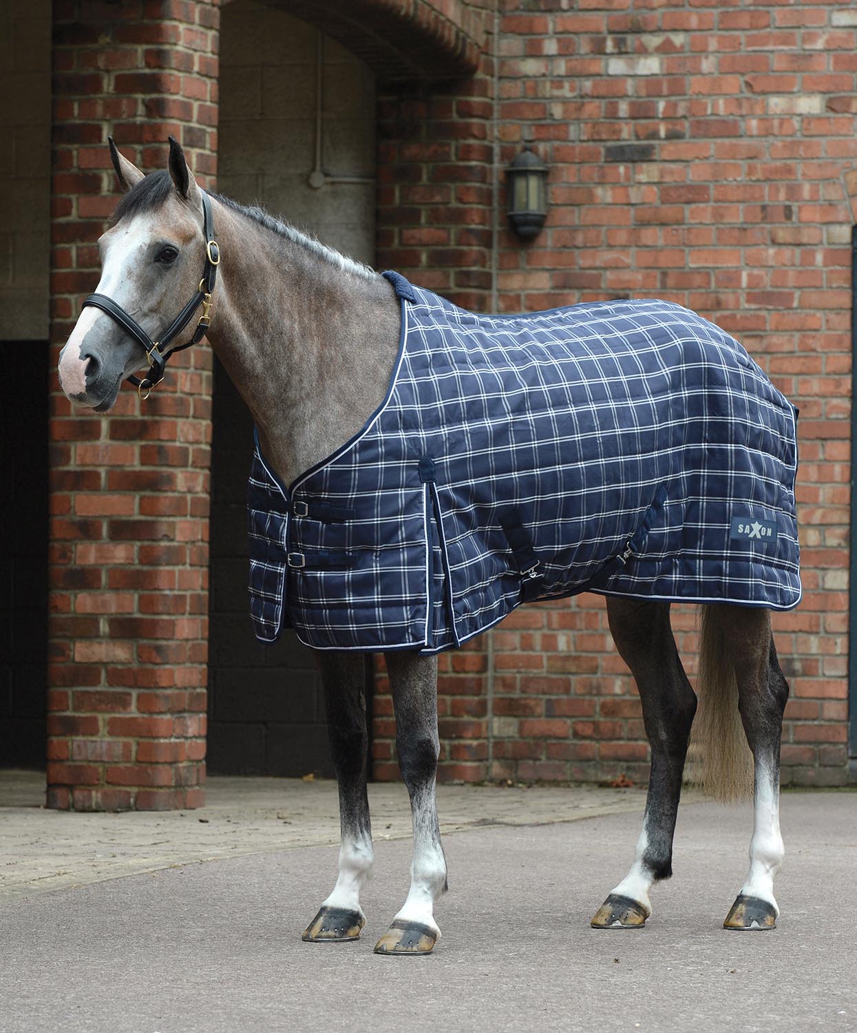Saxon 1200D Standard Neck Medium Weight Stable Blanket for Horses - Healthber