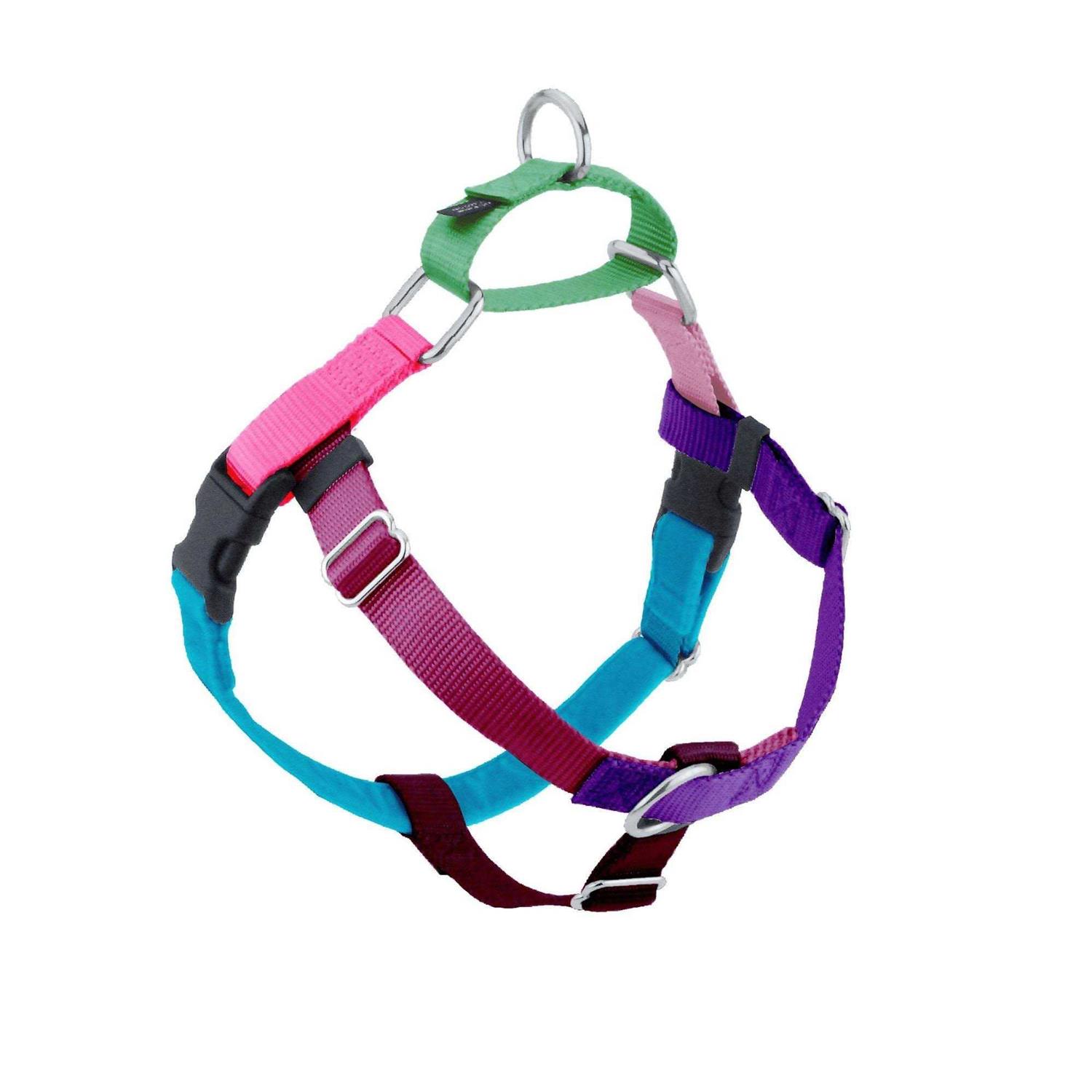 2 Hounds Design Freedom No Pull Dog Harness Leash - Healthber