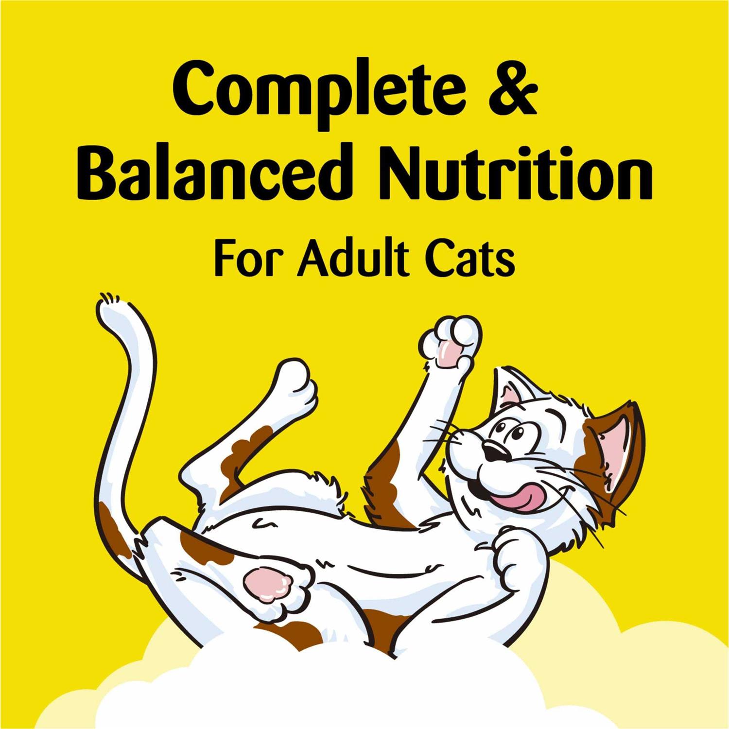 Temptations Hairball Control Chicken Flavor Cat Treats - Healthber