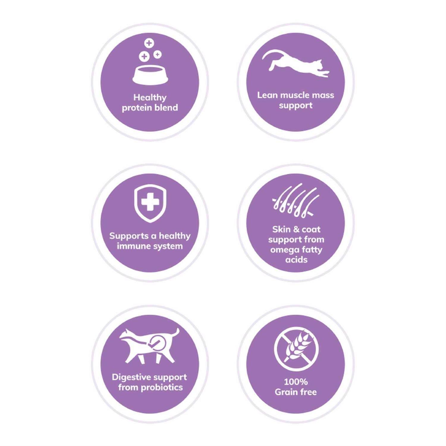 Wellness CORE Grain-Free Turkey Turkey Meal & Duck Dry Cat Food - Healthber