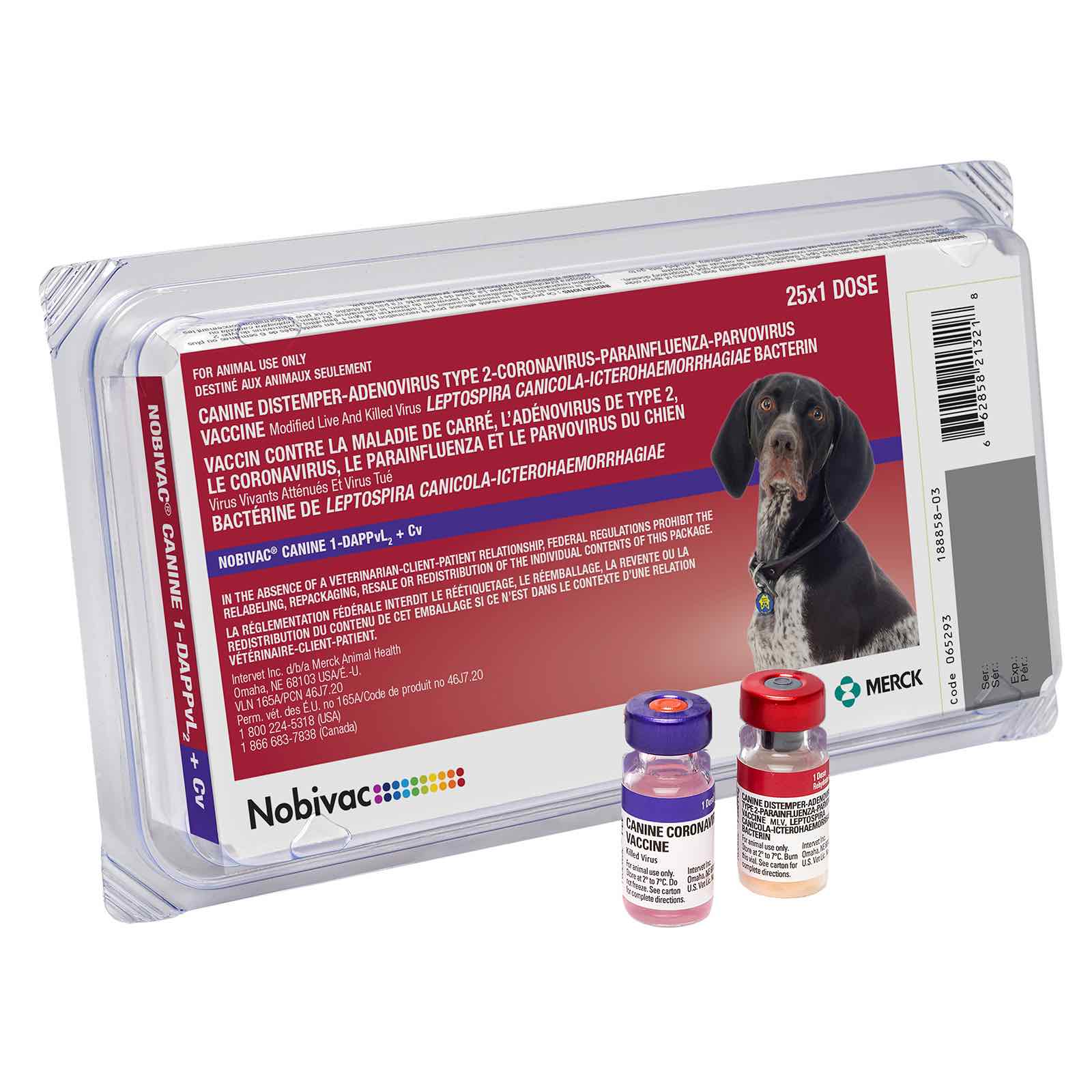 Nobivac Canine 1-DAPPvL2+Cv (8-way) - Healthber