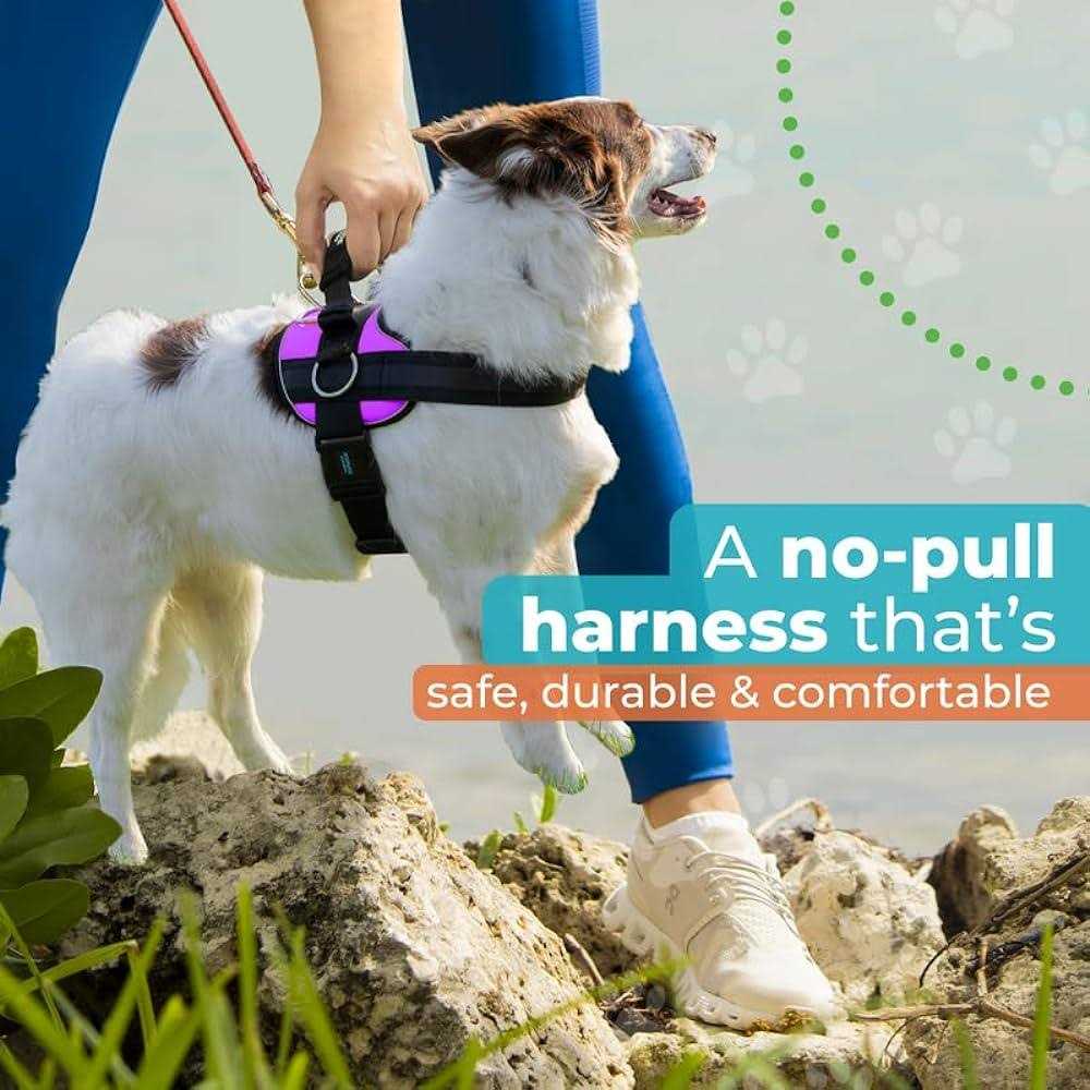 Joyride Harness No Pull Easy On-Off Dog Harness - Healthber