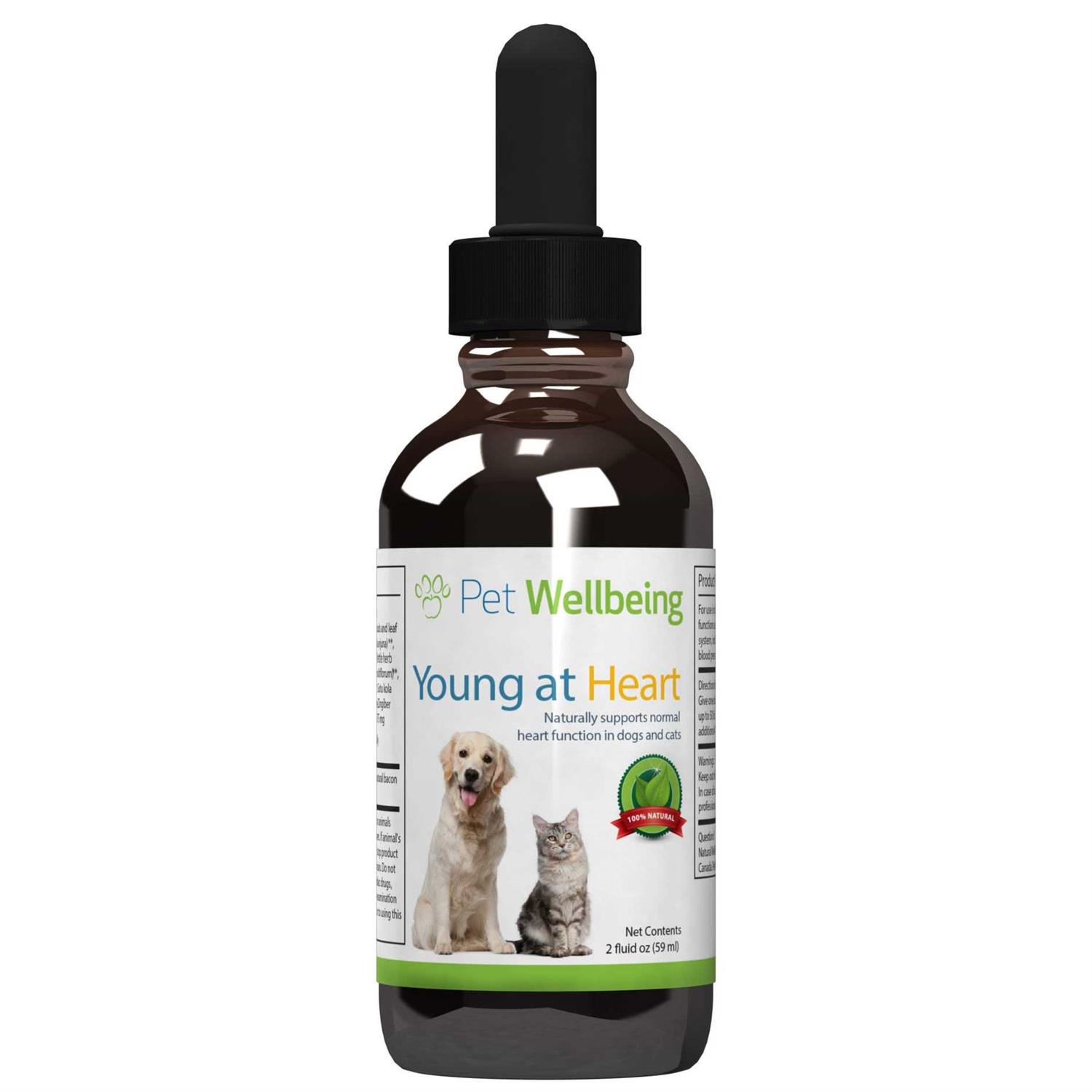 Pet Wellbeing Young at Heart for Cats - Healthber