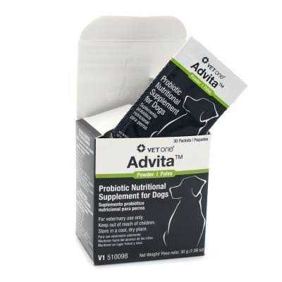 VetOne Advita Probiotic Nutritional Supplement for Dogs - Healthber