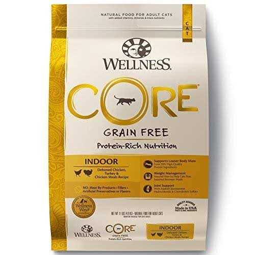 Wellness Core Dry Cat Food - Healthber