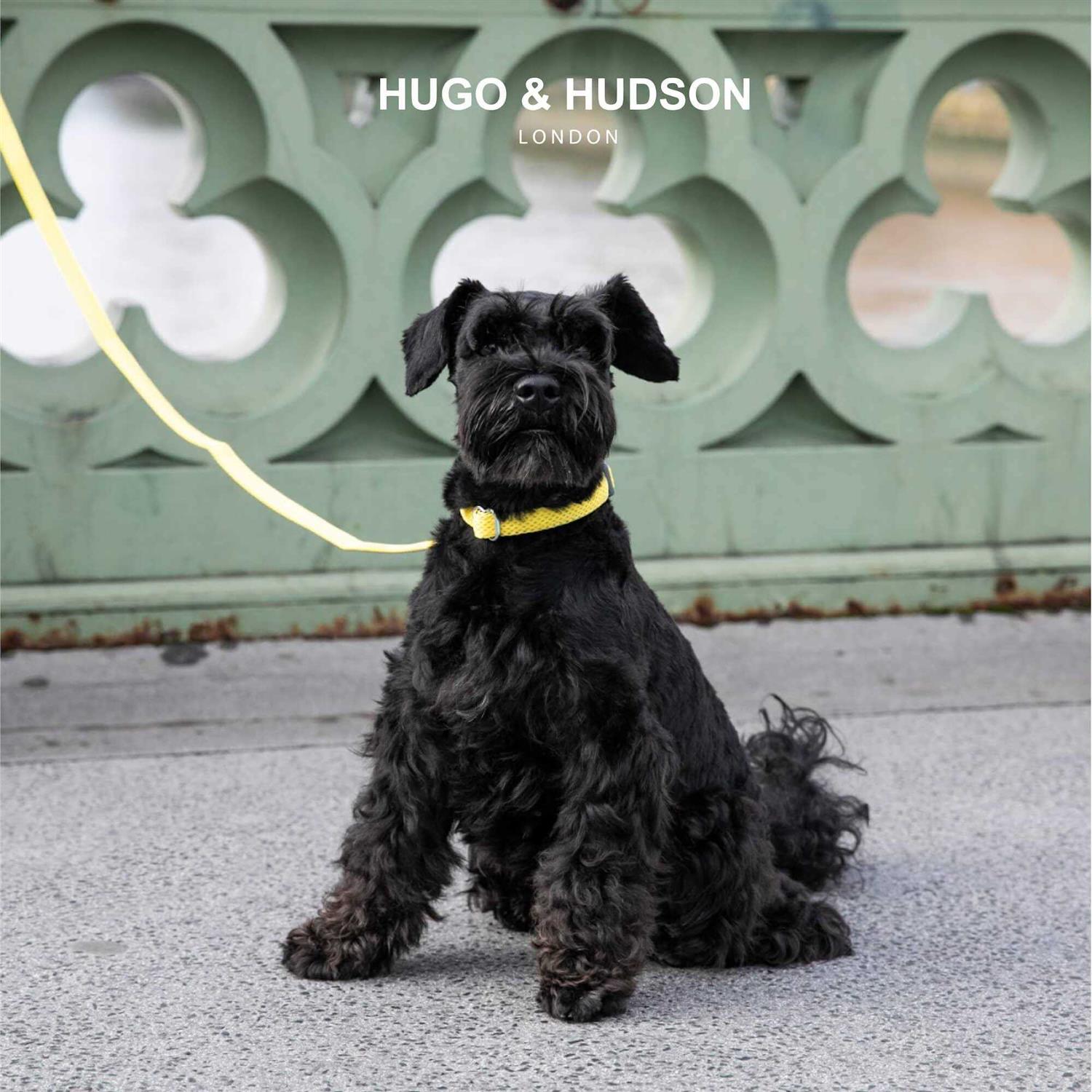 Hugo & Hudson Mesh Dog Collar - Healthber