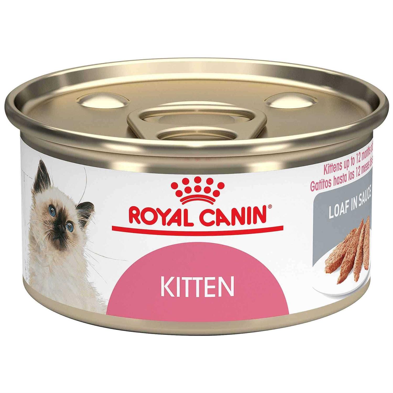 Royal Canin Kitten Loaf in Sauce Cat Food - Healthber