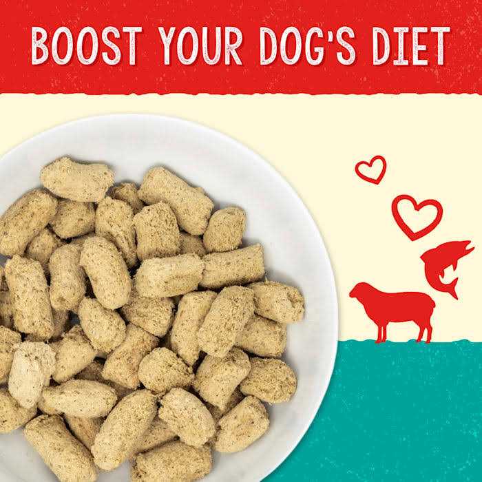 Stella & Chewy’s Dog Solutions Skin & Coat Boost Lamb & Salmon 13oz - Healthber